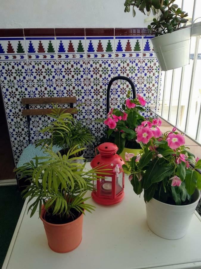 Apartamento Limon 木尔西亚 外观 照片